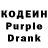 COCAIN Columbia Daniel Kildebaev