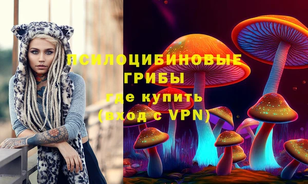 ПСИЛОЦИБИНОВЫЕ ГРИБЫ Бронницы