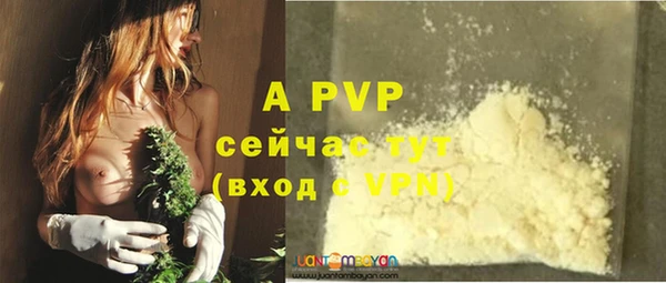 ПСИЛОЦИБИНОВЫЕ ГРИБЫ Бронницы