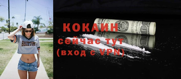 мет Бородино