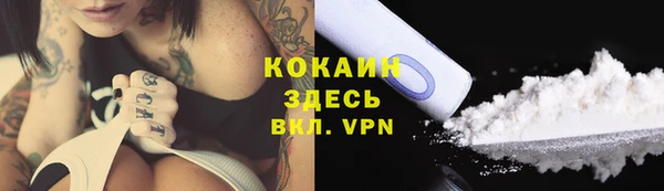 мет Бородино