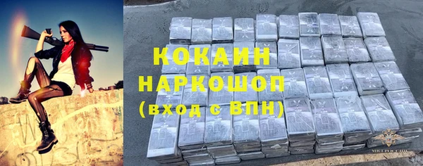 мет Бородино