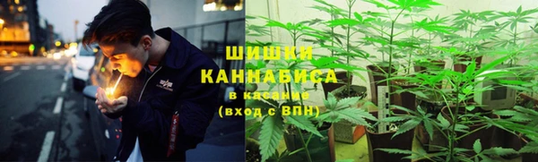 мет Бородино